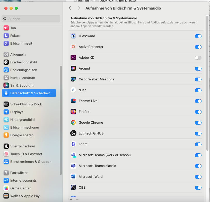 Aufnahme von Bildschirm & Systemaudio (MacOS)